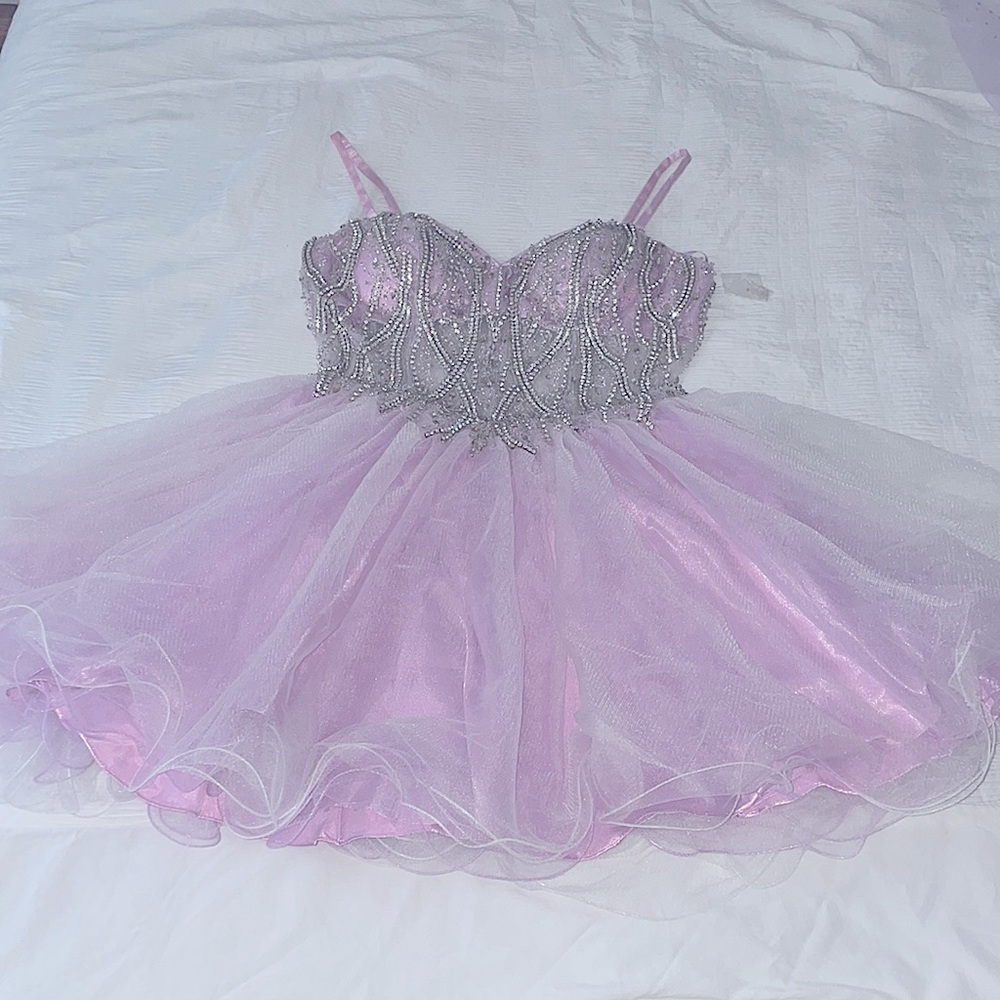 BEAUTIFUL TRANSPARENT BODICE TULLE MINI DRESS